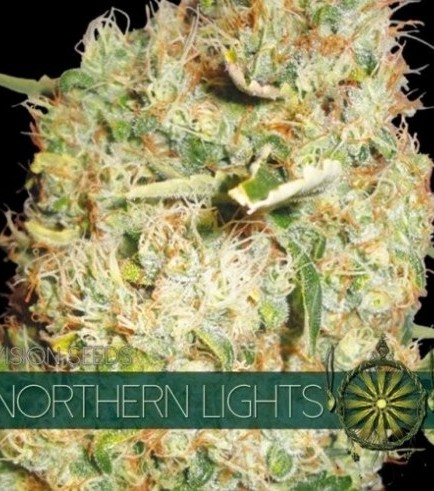 Northern Lights (Vision Seeds)