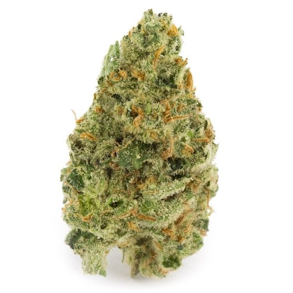 Super Silver Haze (Sativa) Santa Barbara - Pot Valet