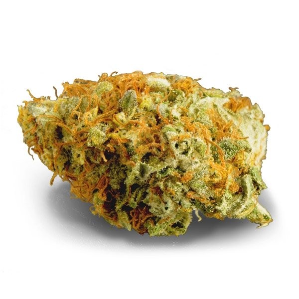 OG Kush Strain Information CannaConnection OG Kush Strain Information CannaConnection
