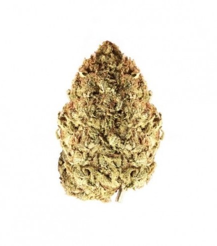 Classic Skunk (Zamnesia Seeds)