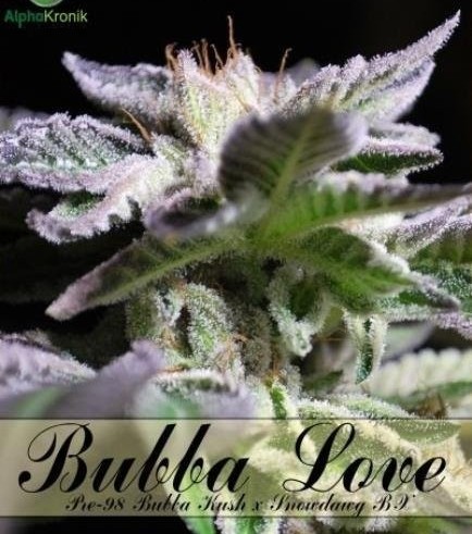 Bubba Love (Alphakronik Genes)