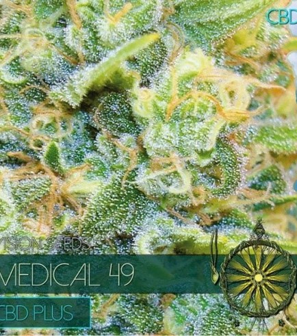 Medical 49 (Vision Seeds)