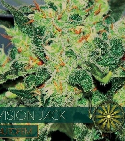 Vision Jack Autofloreciente (Vision Seeds)