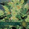 Vision Jack Autofloreciente (Vision Seeds)