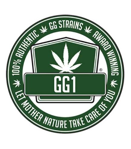 Sister Glue (GG Strains)