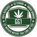 Sister Glue (GG Strains)