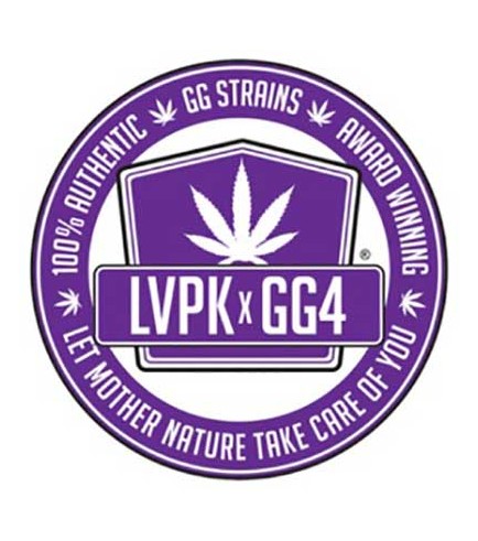 Purple Glue (GG Strains)