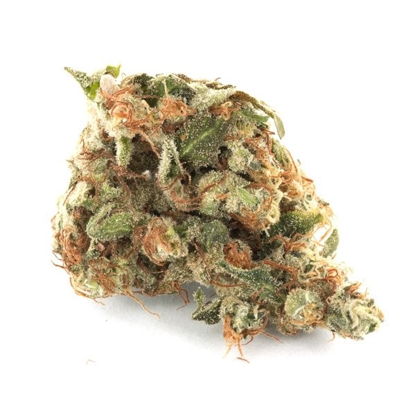 Girl Scout Cookies Strain Review