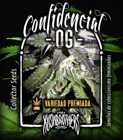 Confidencial OG (KushBrothers)