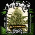 Pandemia Kush (KushBrothers)