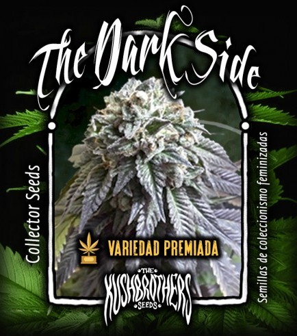 The Dark Side (KushBrothers)