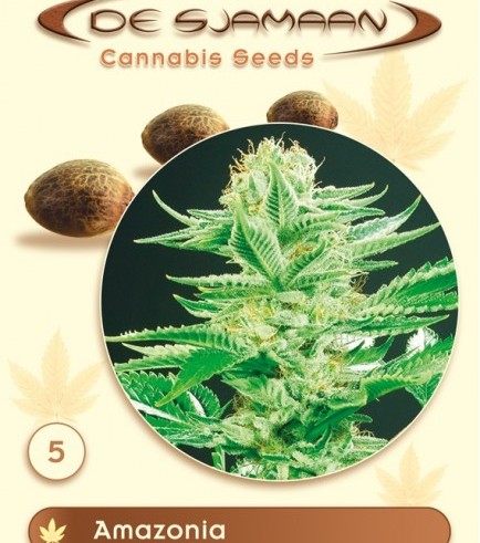 Amazonia (De Sjamaan Seeds)