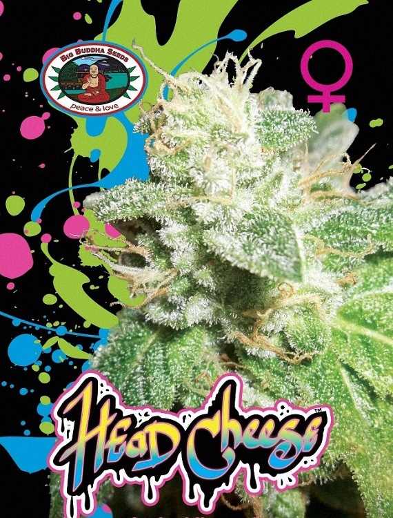 Head Cheese Strain