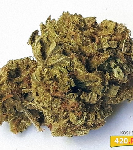 Kosher Kush (420.pixels)