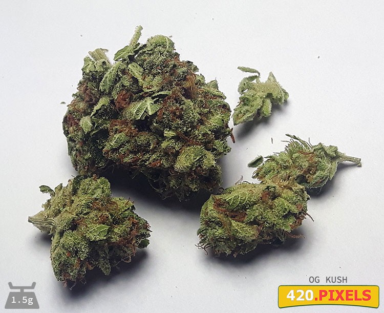 OG Kush Strain Information CannaConnection OG Kush Strain Information CannaConnection