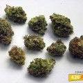 Zombie Kush (420.pixels)