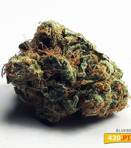 Blueberry (420.pixels)