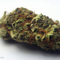 Blueberry Muffin (420.pixels)