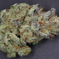 501st OG (Rare Dankness)