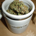 Caramella (Homegrown Fantaseeds)