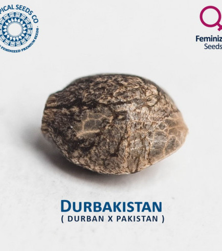 Durbakistan