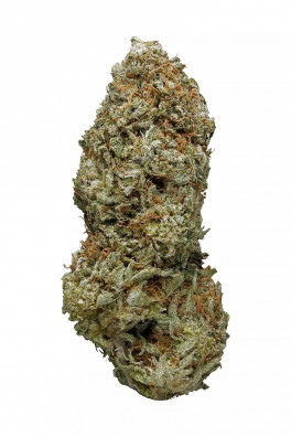 Lemon Larry OG Kush-IBL