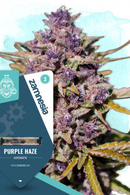 Purple Haze Automatic