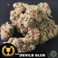 Devil's Glue