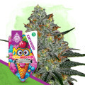 Lemon Cherry Gelato
