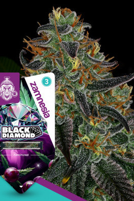 Black Diamond