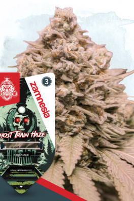 Ghost Train Haze