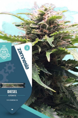 Diesel Autofloreciente