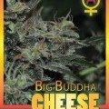 Big Buddha Cheese Automatic (Big Buddha Seeds)