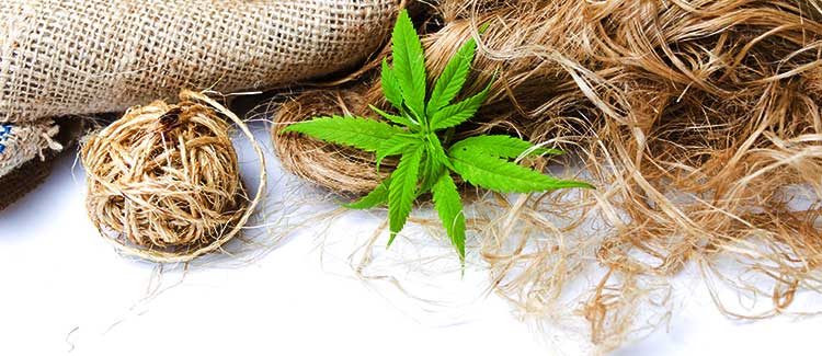 HEMP SOLUTIONS