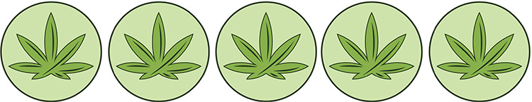 Recensione Varietà di Cannabis: Bruce Banner 3