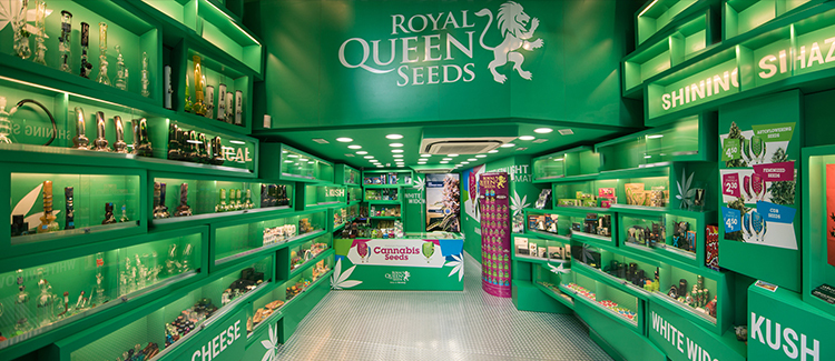 Royal Queen Seeds Shop in Barcelona 