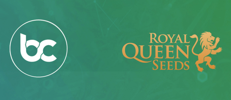 Royal Queen Seeds x BitCanna Collaboration 