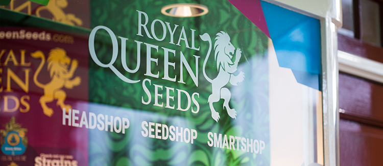 Royal Queen Seeds Logo