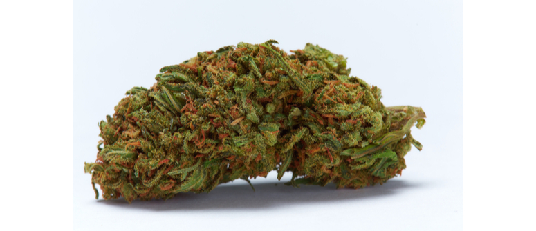 Top 10 low-odour cannabis strains