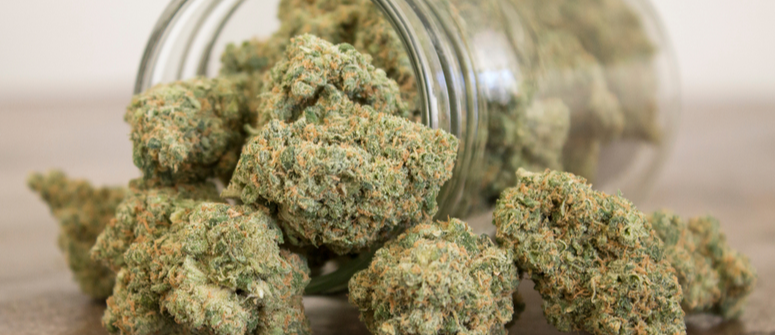 Cannabis aushärten: schritt-für-schritt-anleitung