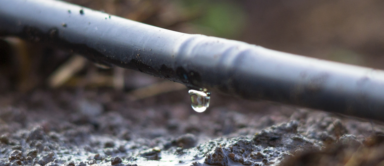 Système d’irrigation goutte à goutte