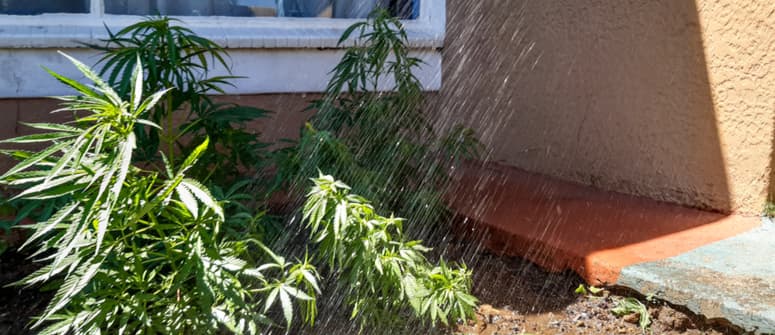 L’eau en bouteille