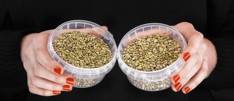 Autoflowering cannabis seeds