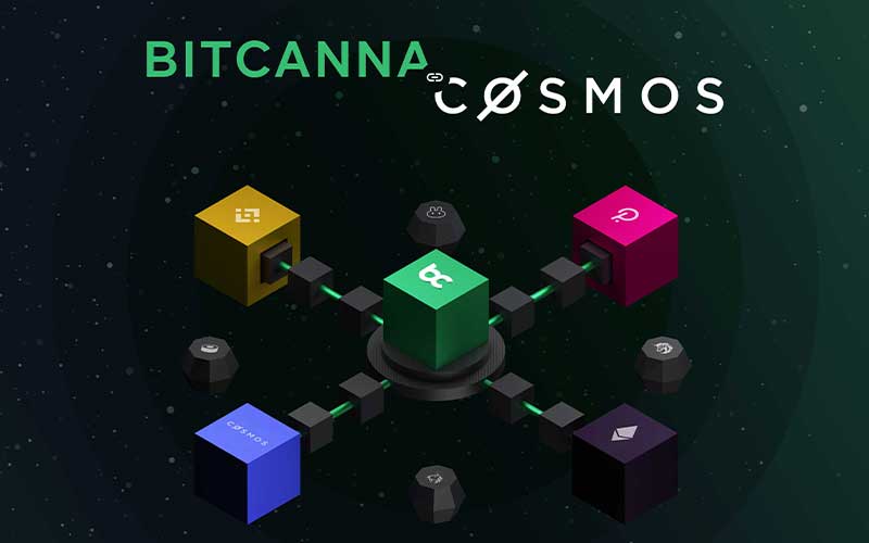 Bitcanna se actualiza a la tecnología del blockchain cosmos
