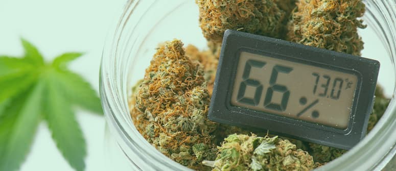 How to lower temperatures for cannabis