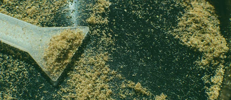 What is kief and how do you use it?