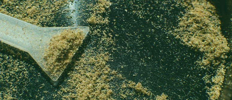 Qu'est-ce que le kief et comment l'utiliser ?