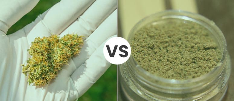 ¿qué es el kief y cómo se utiliza?