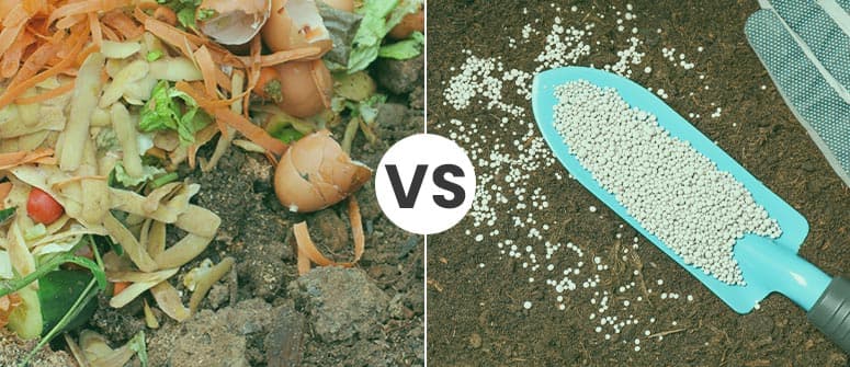 Organic vs synthetic fertilizers: which is best for cannabis?