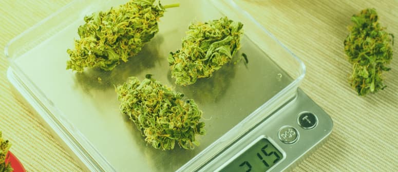 How to find good weed scales - CannaConnection - CannaConnection